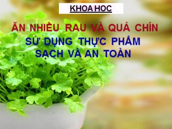 Giáo án điện tử môn  Khoa học Lớp 4 - Tiết 10: Ăn nhiều rau và quả chín sử dụng thực phẩm sạch và an toàn