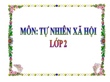 Giáo án điện tử môn Tự nhiên và xã hội Lớp 2 - Tuần 10 - Bài: Ôn tập: Con người và sức khỏe