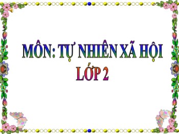 Giáo án điện tử môn Tự nhiên và xã hội Lớp 2 - Tuần 6 - Bài: Tiêu hóa thức ăn