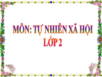 Giáo án điện tử môn Tự nhiên và xã hội Lớp 2 - Tuần 7 - Bài: Ăn uống đầy đủ