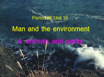 Bài giảng môn Tiếng Anh Lớp 6 - Unit 16: Man and the environment - Lesson 1: A1-A2-A3