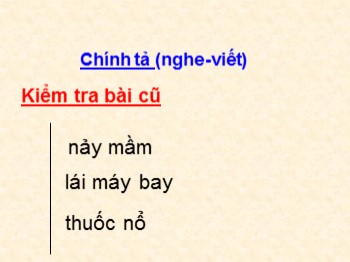 Bài giảng Chính tả Lớp 4 - Bài: Người chiến sĩ giàu nghị lực