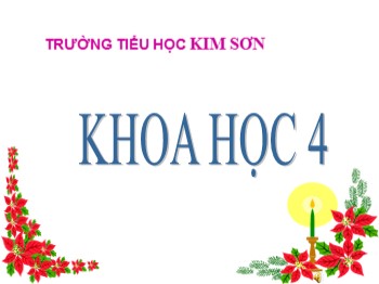 Bài giảng Khoa học 4 - Bài: Ăn uống khi bị bệnh