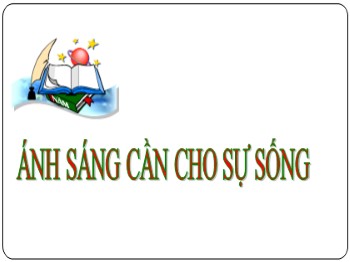 Bài giảng Khoa học Lớp 4 - Bài 47: Ánh sáng cần cho sự sống