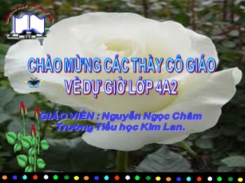 Bài giảng Khoa học Lớp 4 - Tiết 10, Bài: Ăn nhiều rau và quả chín. Sử dụng thực phẩm sạch và an toàn