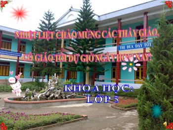 Bài giảng Khoa học Lớp 5 - Bài: Nhôm