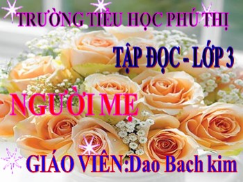 Bài giảng môn Tập đọc Lớp 3 - Tuần 4 - Bài: Người mẹ