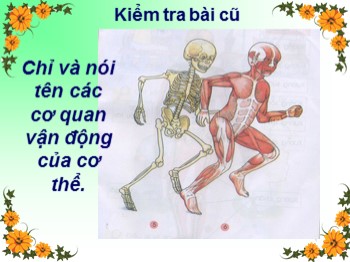 Bài giảng môn Tự nhiên và xã hội 2 - Tuần 2 - Bài: Bộ xương