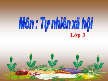 Bài giảng môn Tự nhiên xã hội Lớp 3 - Bài 45: Lá cây