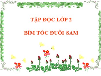 Bài giảng Tập đọc 2 - Bài: Bím tóc đuôi sam