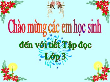 Bài giảng Tập đọc Lớp 3 - Bài: Người mẹ