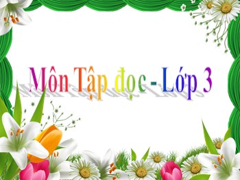 Bài giảng Tập đọc Lớp 3 - Tuần 17 - Bài: Anh đom đóm