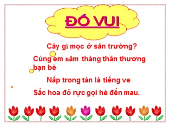 Bài giảng Tập đọc Lớp 4 - Bài: Hoa học trò