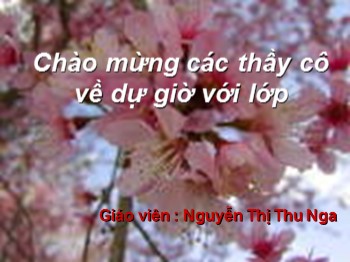 Bài giảng Tập đọc Lớp 5 - Bài: Trồng rừng ngập mặn