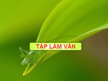 Bài giảng Tập làm văn Lớp 4 - Bài: Luyện tập giới thiệu địa phương