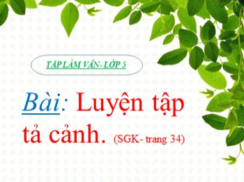 Bài giảng Tập làm văn Lớp 5 - Bài: Luyện tập tả cảnh (Trang 34)