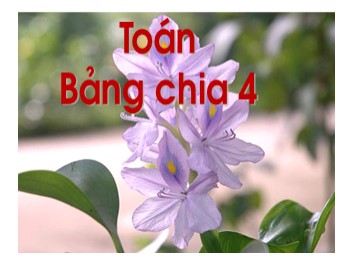 Bài giảng Toán Lớp 2 - Bài: Bảng chia 4