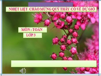 Bài giảng Toán Lớp 3 - Tiết 149: Luyện tập