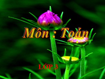 Bài giảng Toán Lớp 3 - Tiết 164: Ôn tập bốn phép tính trong phạm vi 100 000