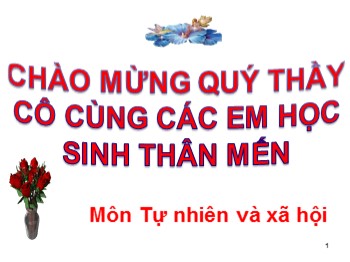 Bài giảng Tự nhiên và xã hội Khối 3 - Bài 58: Mặt trời