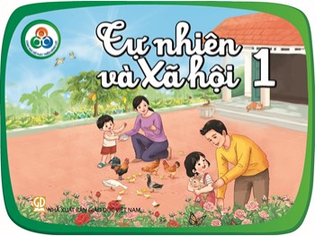 Bài giảng Tự nhiên và xã hội Lớp 1 - Bài 14: Tết và lễ hội năm mới