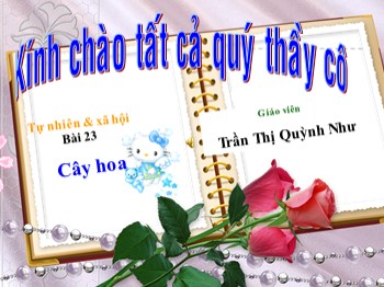 Bài giảng Tự nhiên và xã hội Lớp 1 - Bài 23: Cây hoa - Trần Thị Quỳnh Như