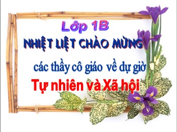 Bài giảng Tự nhiên và Xã hội Lớp 1 - Bài: Ăn uống hằng ngày