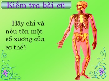 Bài giảng Tự nhiên và xã hội Lớp 2 - Tuần 3 - Bài: Hệ cơ