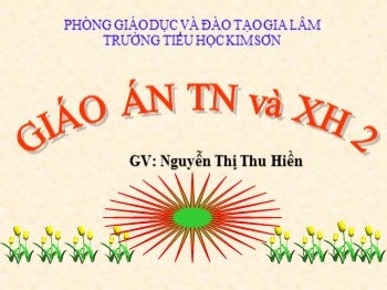 Bài giảng Tự nhiên và xã hội Lớp 2 - Tuần 6 - Bài: Cơ quan tiêu hóa