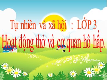 Bài giảng Tự nhiên và xã hội Lớp 3 - Bài 1: Hoạt động thở và cơ quan hô hấp