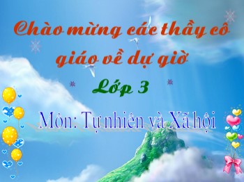 Bài giảng Tự nhiên và xã hội Lớp 3 - Bài 29: Cỏc hoạt động thông tin liên lạc