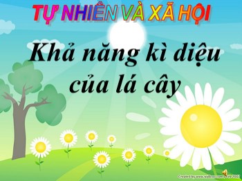 Bài giảng Tự nhiên và xã hội Lớp 3 - Bài 46: Khả năng kì diệu của lá cây