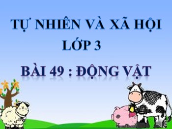 Bài giảng Tự nhiên và xã hội Lớp 3 - Bài 49: Động vật