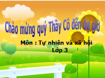 Bài giảng Tự nhiên và xã hội Lớp 3 - Bài 59: Trái Đất-Quả địa cầu