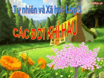 Bài giảng Tự nhiên và xã hội Lớp 3 - Bài: Các đới khí hậu