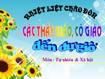 Bài giảng Tự nhiên và xã hội Lớp 3 - Bài: Rễ cây (Tiếp theo)