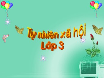 Bài giảng Tự nhiên và xã hội Lớp 3 - Bài: Thân cây (Tiếp theo)