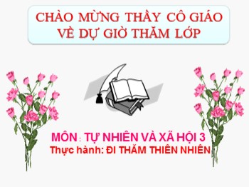 Bài giảng Tự nhiên và xã hội Lớp 3 - Thực hành: Đi thăm thiên nhiên (Tiết 1)