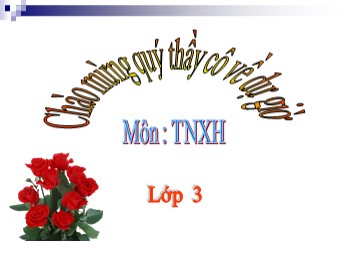 Bài giảng Tự nhiên và xã hội Lớp 3 - Tuần 5, Bài 10: Hoạt động bài tiết nước tiểu