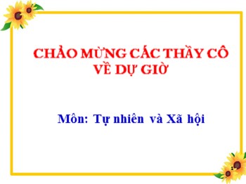 Bài giảng Tự nhiên xã hội Lớp 3 - Bài 12: Cơ quan thần kinh