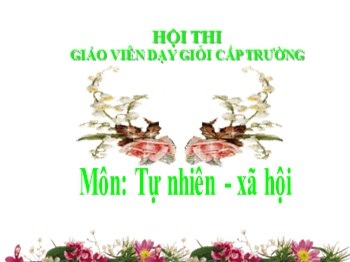 Bài giảng Tự nhiên xã hội Lớp 3 - Bài 14: Hoạt động thần kinh (Tiết 2)