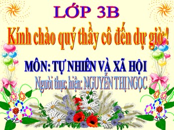 Bài giảng Tự nhiên xã hội Lớp 3 - Bài 26: Không chơi các trò chơi nguy hiểm - Nguyễn Thị Ngọc