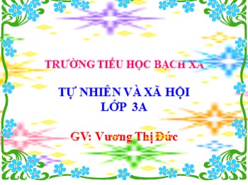 Bài giảng Tự nhiên xã hội Lớp 3 - Bài 33: An toàn khi đi xe đạp - Vương Thị Đức