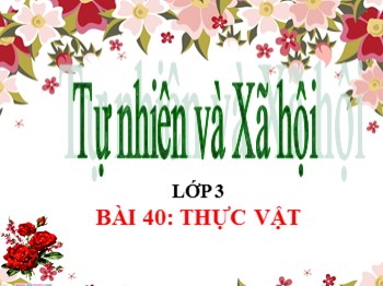 Bài giảng Tự nhiên xã hội Lớp 3 - Bài 40: Thực vật