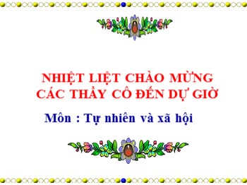 Bài giảng Tự nhiên xã hội Lớp 3 - Bài: Vệ sinh thần kinh