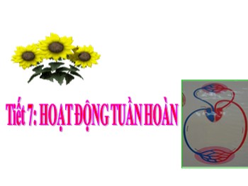 Bài giảng Tự nhiên xã hội Lớp 3 - Tiết 7: Hoạt động tuần hoàn