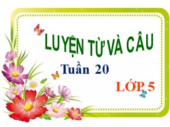 Bài giảng Luyện từ và câu Lớp 5 - Tuần 20 - Bài: Nối các vế câu ghép bằng quan hệ từ