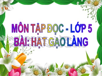 Bài giảng Tập đọc Lớp 5 - Tuần 14 - Bài: Hạt gạo làng ta