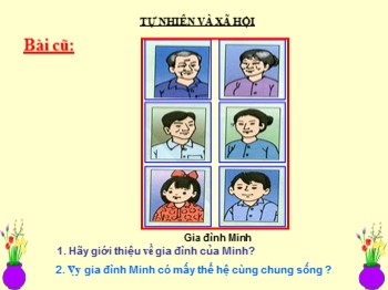 Bài giảng Tự nhiên xã hội Khối 3 - Bài 20: Họ nội, họ ngoại