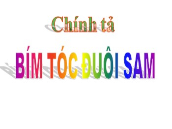 Bài giảng Chính tả Lớp 2 - Tuần 4 - Bài: Bím tóc đuôi sam